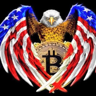 Azuki_soll's profile picture. Making memes & art for the chain I live on