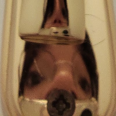 pawlatinament's profile picture. Porto l'estiu a dins, per si t'agafa fred