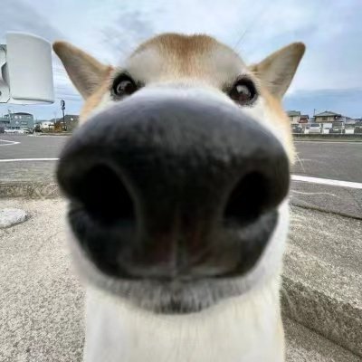 mingy0727's profile picture. 