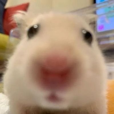 secretdoli's profile picture. 사랑은가슴이시킨다