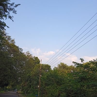 NidhiKumari6703's profile picture. 