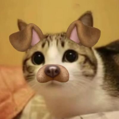 minetfou's profile picture. #fou