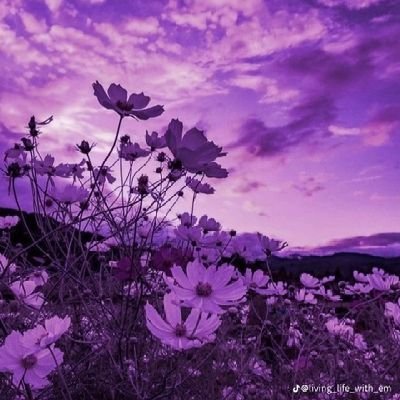 Refiloe1705's profile picture. 