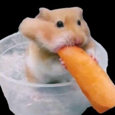 chopohmham's profile picture. 