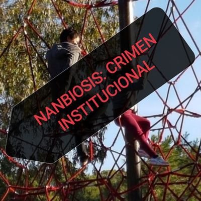 AliciaC16717651's profile picture. LO 3/2018 - Declaración de León 2023 - Informes A/HRC/43/49 - A/HRC/57/61