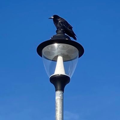 PoetSarahDoyle's profile picture. Poet, reader, workshop leader, weather watcher, moon gazer. Poet-in-Residence @PreRaphSoc. Widely placed/published, inc (m)othersongs @vpresspoetry.