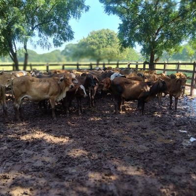 GBayter's profile picture. CERO IZQUIERDA