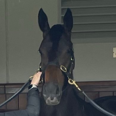 Ackersze's profile picture. 