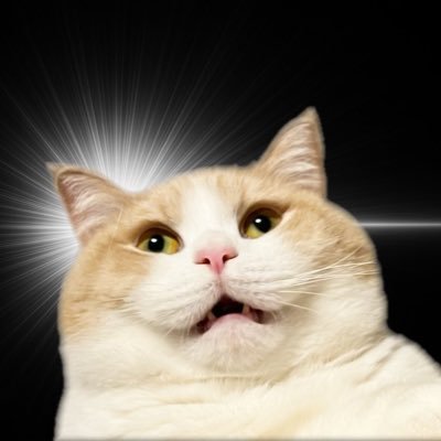 kkk200006523's profile picture. 