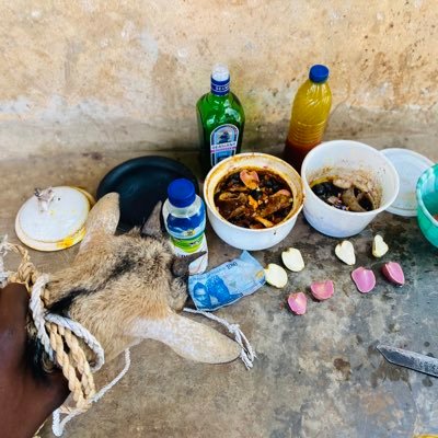 anu_ifa_1's profile picture. custodian of Ifá wisdom, a spiritual guide, and a community problem-solver.