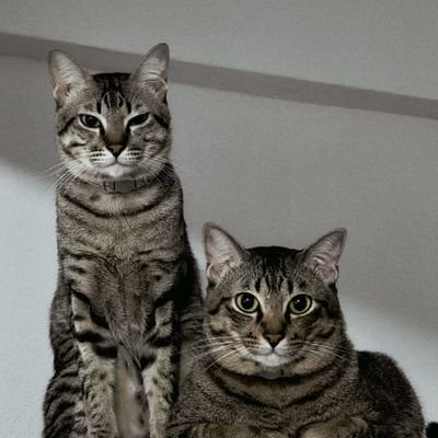 Sunshin87670030's profile picture. 🌻