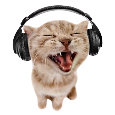 1Wocky's profile picture. kai cenat’s music stylist ╏ $MG ╏ 💌:businesswocky@gmail.com