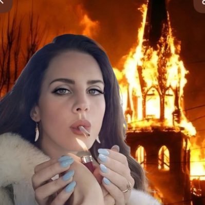 felobergamin's profile picture. estudiante de derecho                           penal 🦇