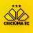 Criciúma E.C. 🐯