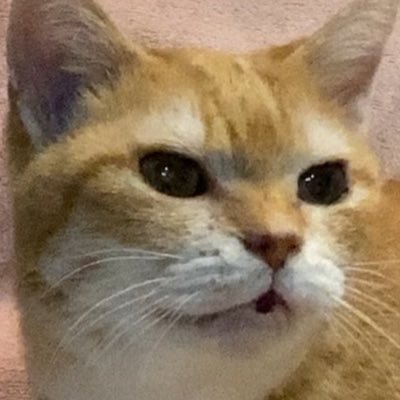 rumi4573's profile picture. 