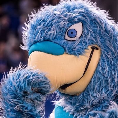 marcelrcde7's profile picture. 