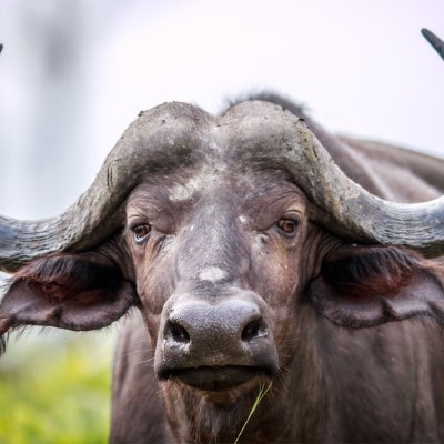 Soda17152's profile picture. 