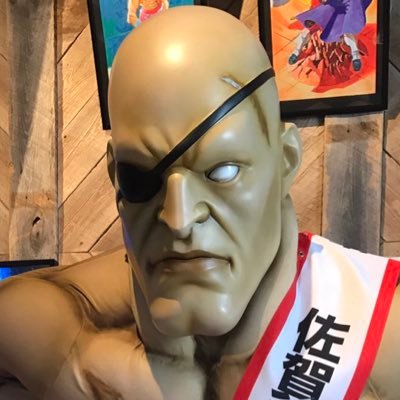 sagasagasagat's profile picture. 模型好きの佐賀県民。前アカウント（@sakuramooochi）が第三者に乗っ取られ復旧不能と判断したため、アカウントを作り直しました。前アカウントはブロック等をお願いします。