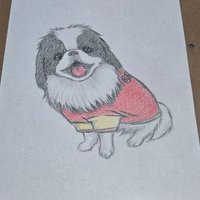 犬と歌好き配達員🐶 (@loveboao33) 's Twitter Profile Photo