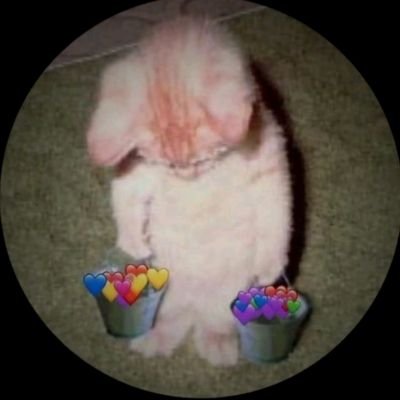 92ilovegl's profile picture. Amo GL's • Music • Games | Criar edits 👩🏻‍💻 • Cadelinha de 𝘢𝘵𝘳𝘪𝘻𝘦𝘴 𝘵𝘢𝘪𝘭𝘢𝘯𝘥𝘦𝘴𝘢𝘴 • ᴍᴜʟᴛɪꜰᴀɴᴅᴏᴍ • ISTJ