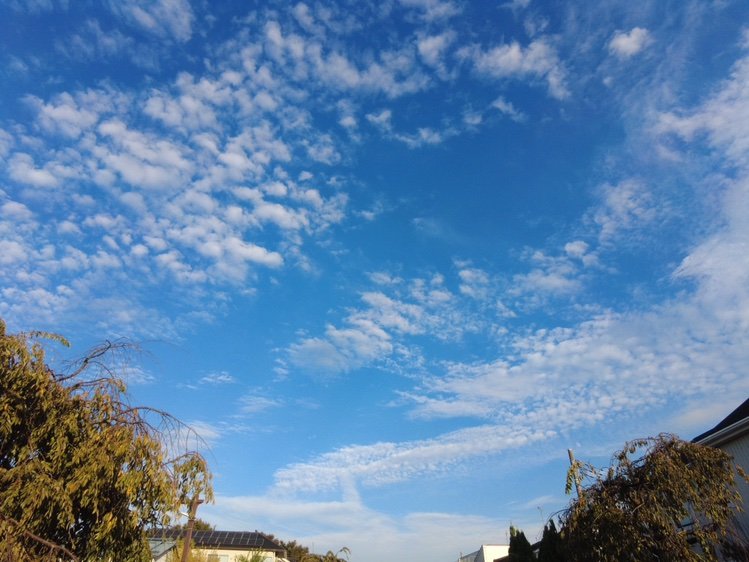 keikozouma's profile picture. 