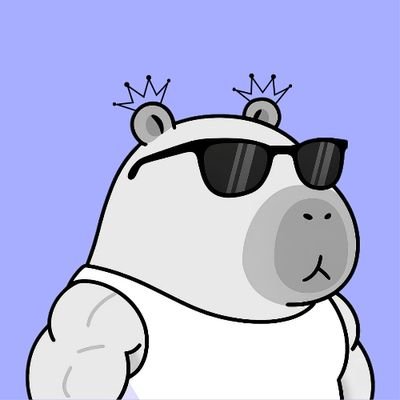 Mrfj99059372's profile picture. WEB3 EXPLORER