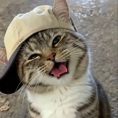 TheosT99's profile picture. 