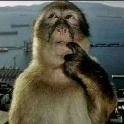 memes_on_deman's profile picture. 27 | UK