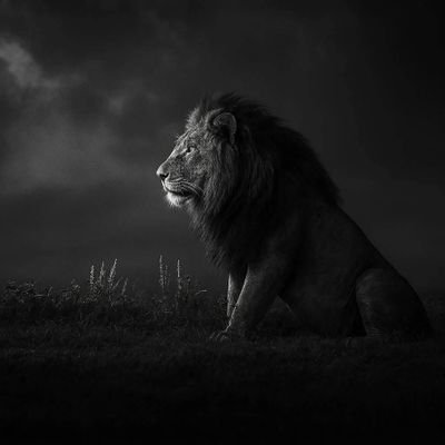 Bocar_Dia17's profile picture. Initiateur des dimanches sur le littoral🇸🇳
Twenty times PL Champ⭐
#PlanetWatcher  #Teungueth_Fc
#Liverpool #Marseille