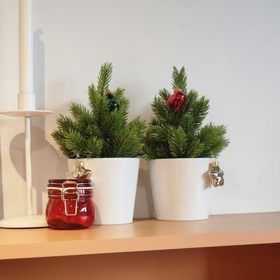 slow_saver's profile picture. 경제 공부 걸음마 중 🥲