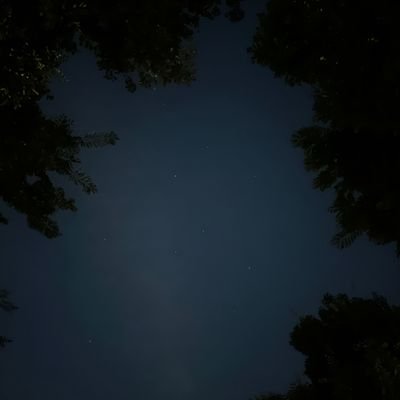 anjsakura_24's profile picture. i love them  but i really dont know why.....