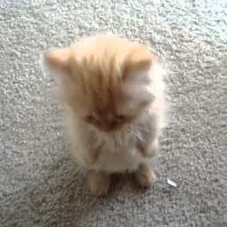 aik_o2's profile picture. 夢の続きを見よう