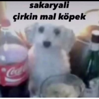 SenBanaEmosDe's profile picture. ytü. hurdacı. liberal.