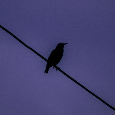 4ktoby's profile picture. helter skelter