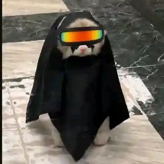 heis10x's profile picture. Dedicated to the cause| Web 3| on a journey of self improvement|