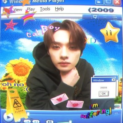 adictaemcafe's profile picture. a beira do colapso mental, amo mulheres, gatos, café e o Lee Know.