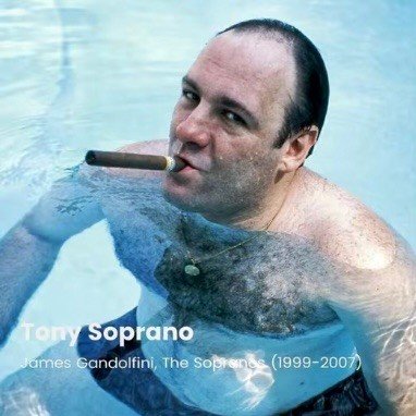 虐猫视频 爱猫TV 虐狗 Profile