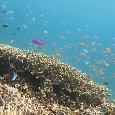 yu_yu_pomkyo's profile picture. 2025年( 'ᢦ' )多忙はトラウマ(笑)体を労るお年頃😂健康第一です(ㅅ´꒳` )「神経」の修復…体の左側に不調が多い😅不思議な夢をみる体質🎧❥❥❥🎙(*ˊ˘ˋ*)♪音楽は心に響く曲が好き。天才も好き🥰そして愛犬🐶が可愛すぎる😍