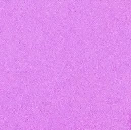 d6MNpDrug848340's profile picture. 為せば成る為さねば成らぬ何事も