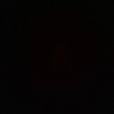 oytnaidra's profile picture. 