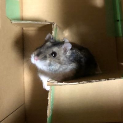 melan627958's profile picture. 