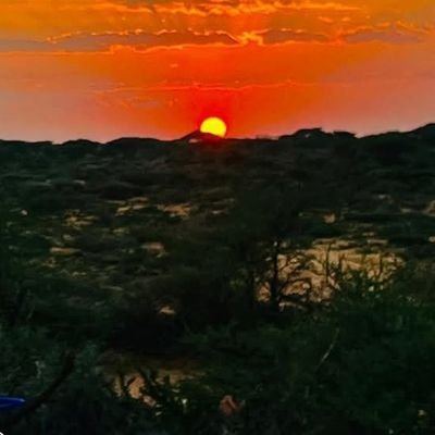 AdamA43151's profile picture. ✊️