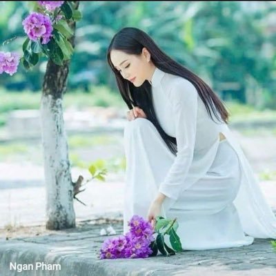 pham13420's profile picture. 