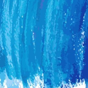 nonow1457414's profile picture. 