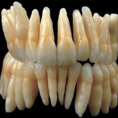 to0thache_'s profile picture. old people shedtwt