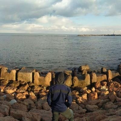 hamdymohamedak's profile picture. JavaScript Developer 🌬️
JavaScript Ecosystem 🌚
React.js(web)React Native (mobile)🤠Electron (Desktop)☠️ , 
Nest js  (Service Side Applications)🔥