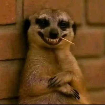 rdjSiacj1's profile picture. Living life is exercise-Jin