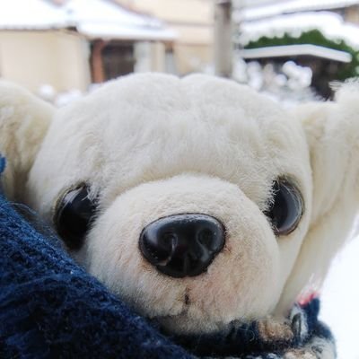 vsixlove724's profile picture. V6のファン歴=30年💙💜💚♥️🧡💛

トニセンのファン歴=28年2ヶ月💙💜💚

黒猫・白猫・ロシアンブルー・白チワワ大好き

※上記以外の者は一切フォロー(変態❌エロ垢❌・副業❌外国人❌勧誘)❌し無いで下さい❌※

※しつこくフォローする人block❌

無断でリツイートする人❌※