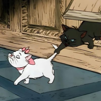 boilingpointH's profile picture. istp