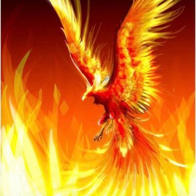 phoenicis_1's profile picture. 